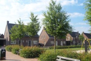 Architect De Mortel 3 tweekappers voor starters